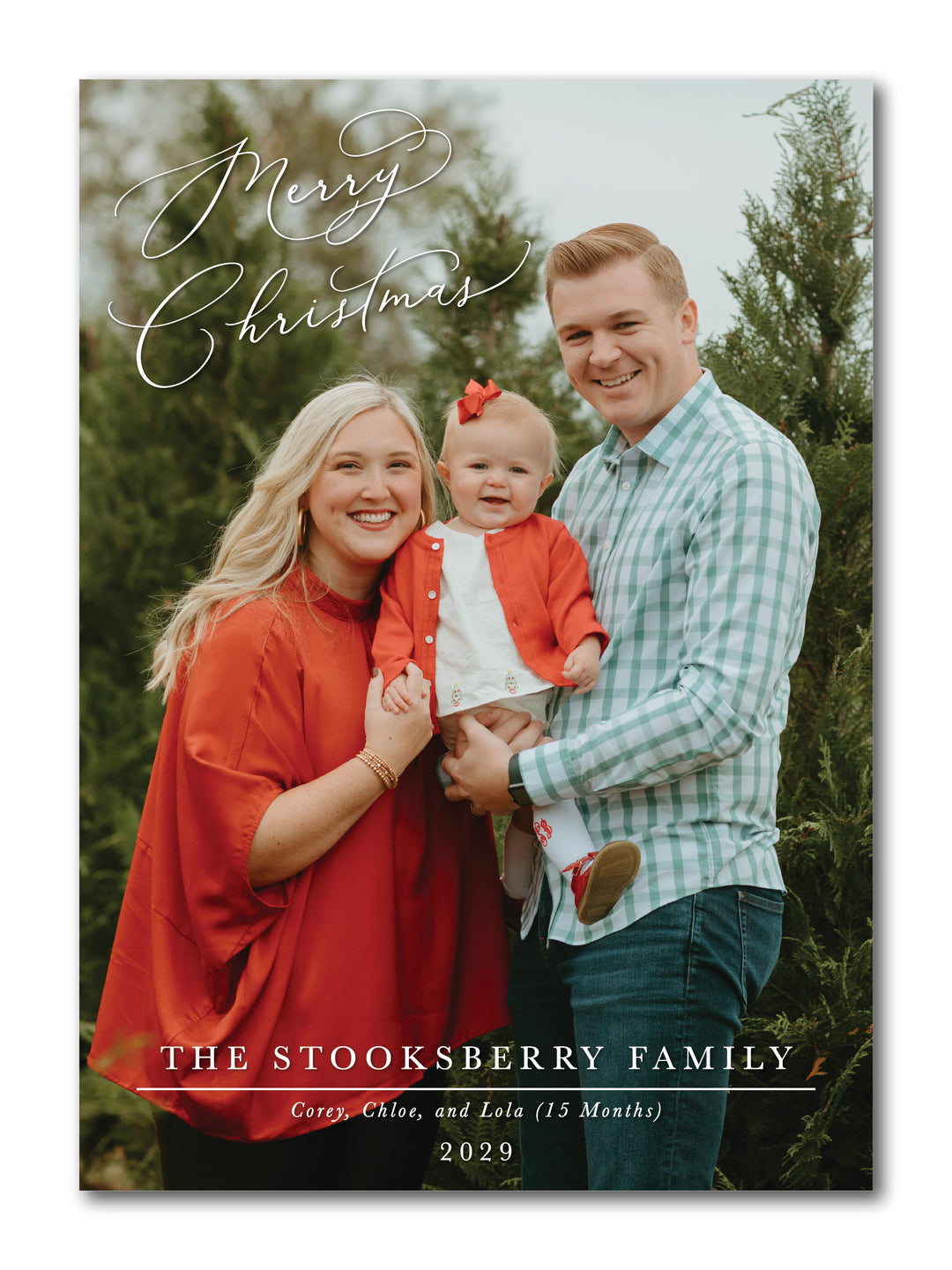 The Stooksberry Christmas Card